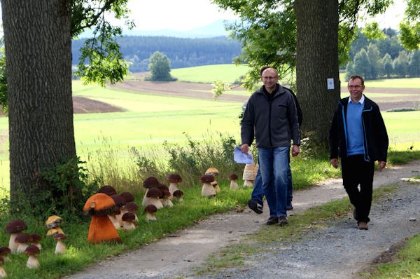 Waldtag 2017 in Dürnberg