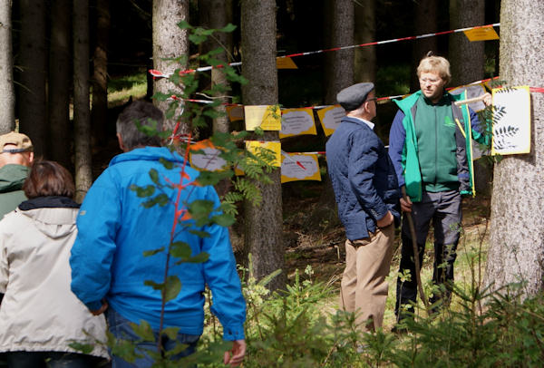 Waldtag 2017 in Dürnberg