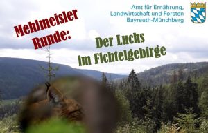Mehlmeisler Runde: Der Luchs im Fichtelgebirge @ Waldhaus Mehlmeisel | Mehlmeisel | Bayern | Deutschland